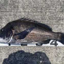 イチノ兄弟、釣果!