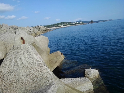 8/21釣果イサキ4枚!