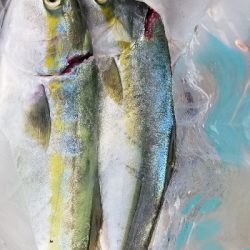 ルアーフィッシング