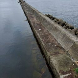 初めての岸和田阪南港