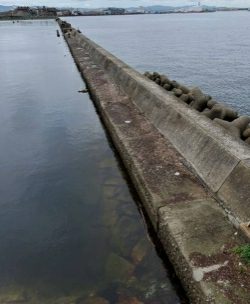 初めての岸和田阪南港