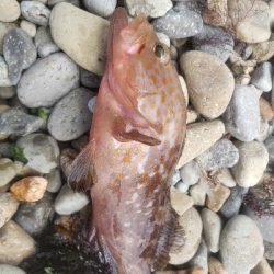 水遊びついでに