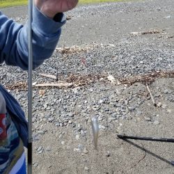 今日は娘と、でも釣果は残念