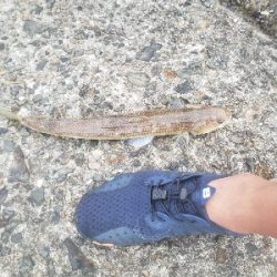 何とかキャッチ出来ました