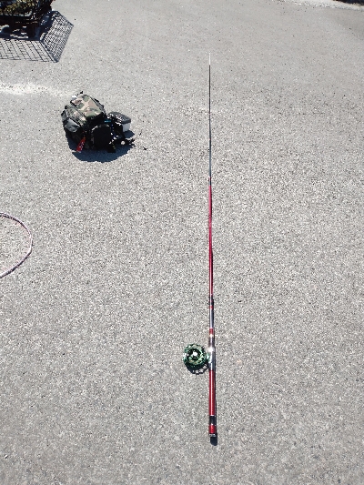 暑い中、諦めずに黒鯛ゲット！