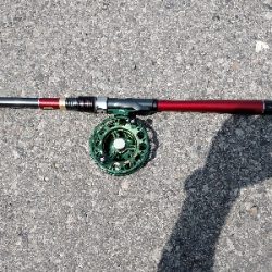 ぬめ~と年無しゲット!