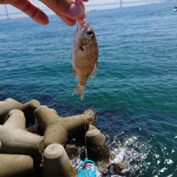 おつまみを仕入れに