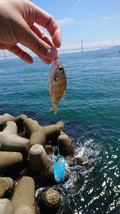 おつまみを仕入れに