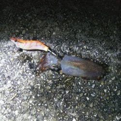 つ抜けに一歩及ばず