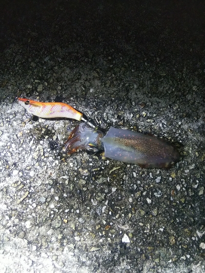 つ抜けに一歩及ばず