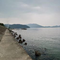 チョイ投げのキス