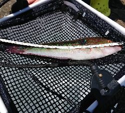 型が良いものばかり！