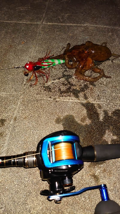 久しぶりのタコ釣り