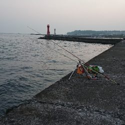 キス釣り、五目釣り