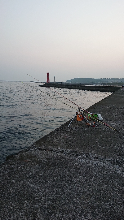 キス釣り、五目釣り