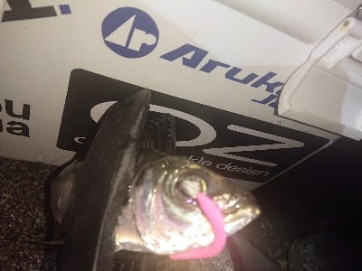 アジが、渋くなってきました。