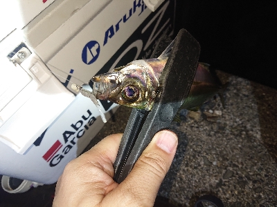 厳しくなってきました。