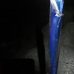 大阪湾タチウオ開幕