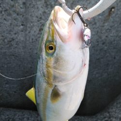 暑いけど粘れば何とか