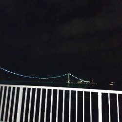 ケンサキイカ良好♪