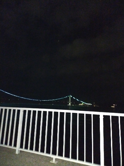 ケンサキイカ良好♪