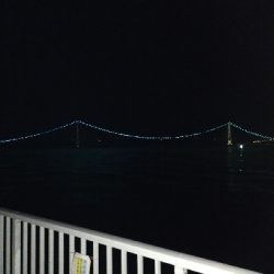 ケンサキイカ好調♪