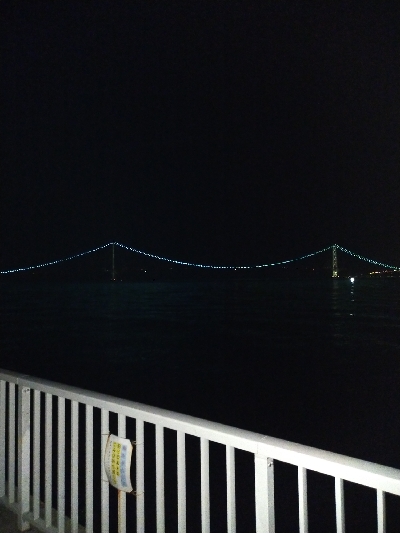 ケンサキイカ好調♪