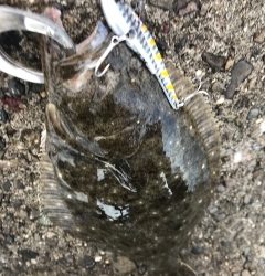 大きくなって帰って来い！