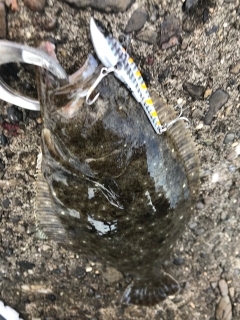 大きくなって帰って来い！