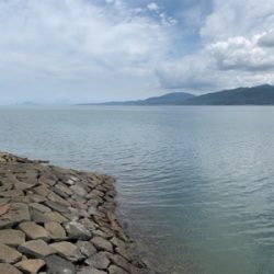 なんとかギリ歳無し