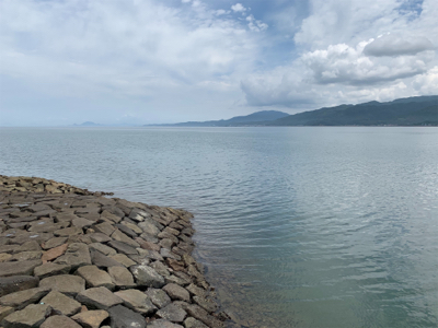 なんとかギリ歳無し