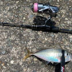 貸し切りデイアジング