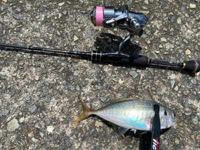 貸し切りデイアジング