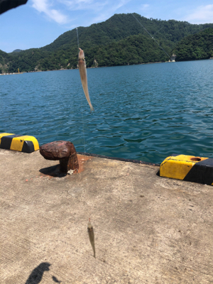 ちょい投げキス