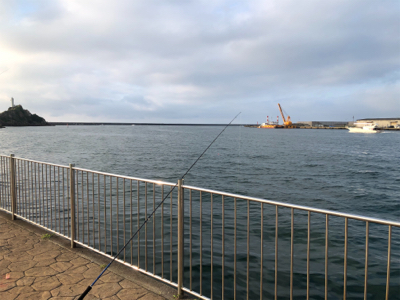サビキで石鯛&豆あじ