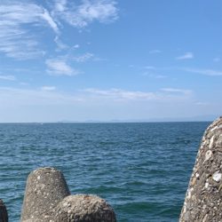 久々の嬉しいサイズ