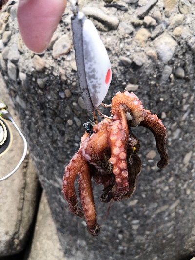 休日はタコより人が多い