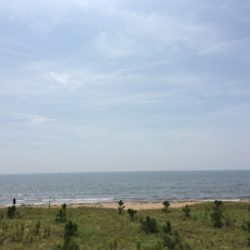 夏のマゴチフィッシング