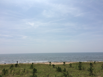 夏のマゴチフィッシング