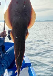 梅雨明けの釣り
