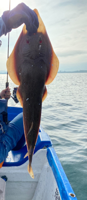 梅雨明けの釣り