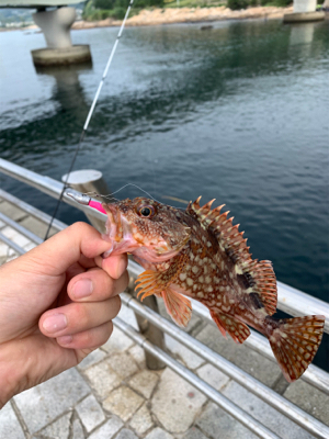 ガシリングになった