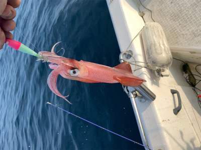 マイボートでデイイカメタルゲーム