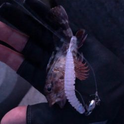 ライトロックゲーム