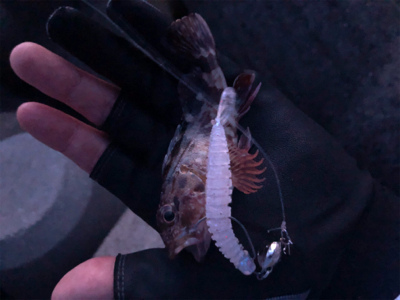 ライトロックゲーム