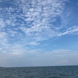 夕方からの、のんびりマゴチフィッシング