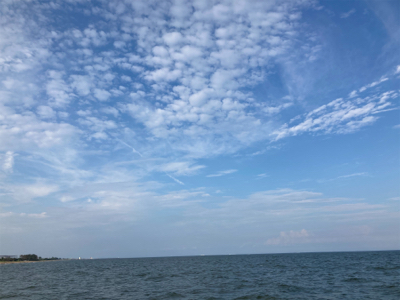 夕方からの、のんびりマゴチフィッシング