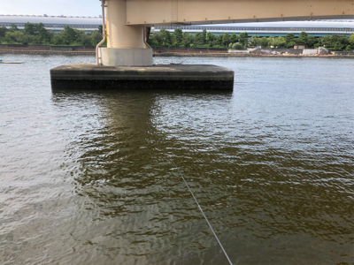 夏ハネ狙ってみました