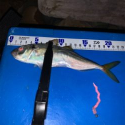 梅雨明けフロート