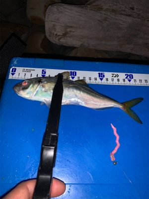 梅雨明けフロート